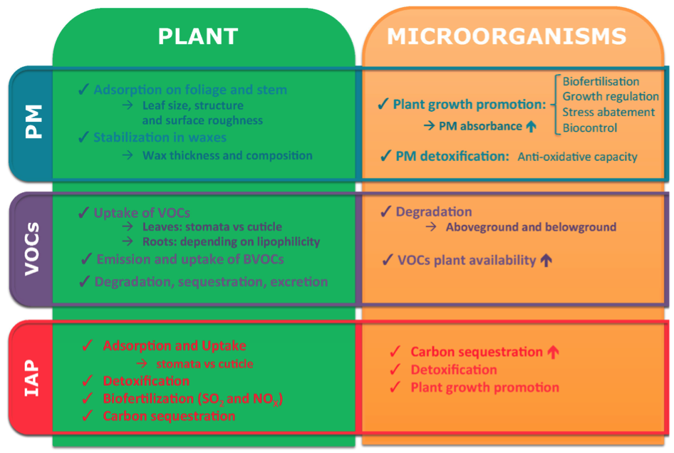 Microorganismen rond planten