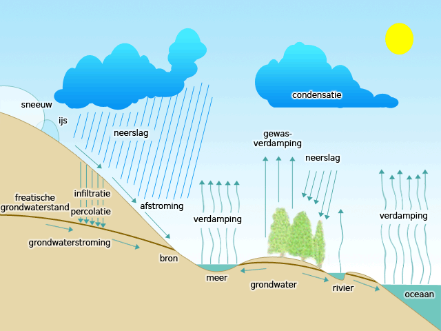Watercyclus. Bron: Wikipedia